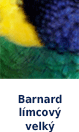Barnard límcový velký
